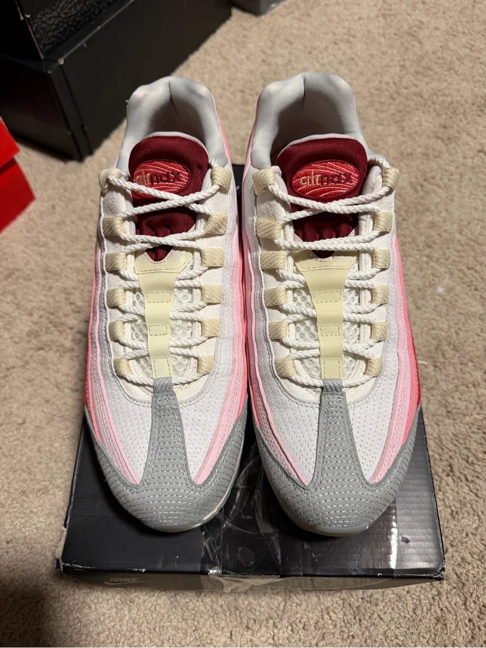 Nike Air Max 95 ‘Anatomy Of Air’ Men’s Low Top DM0012-600